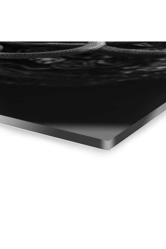 Kadın Model Medusa 1 Cam Tablo Duvar Dekoru 19