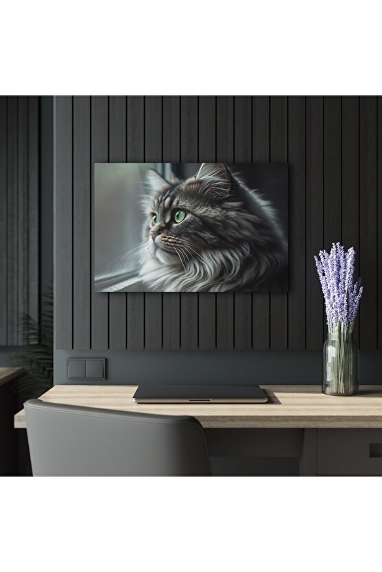 Kedi Cam Tablo Duvar Dekoru 2