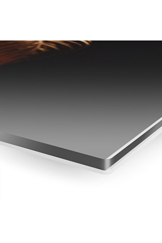 Atatürk Imzası Ve Türk Bayrağı Salon Duvar Cam Tablo Dekoru, Atatürk Tablo, Duvar Süsü