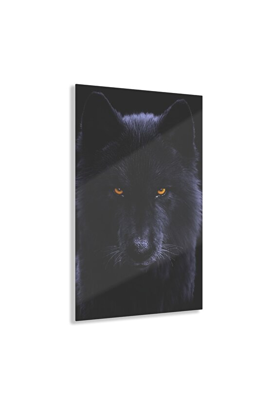 Siyah Kurt Cam Tablo Duvar Dekoru