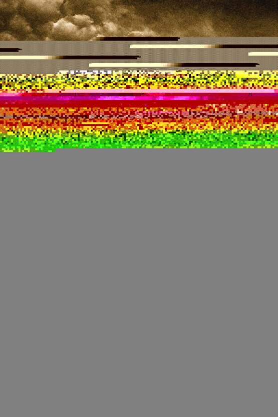 Zebra-beyaz Bambu Zebra Perde