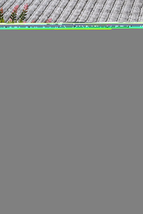 Yalın Microfiber Bukle Dokuma Halı Antre Hol Kesme Halı Yolluk 5771 Gri