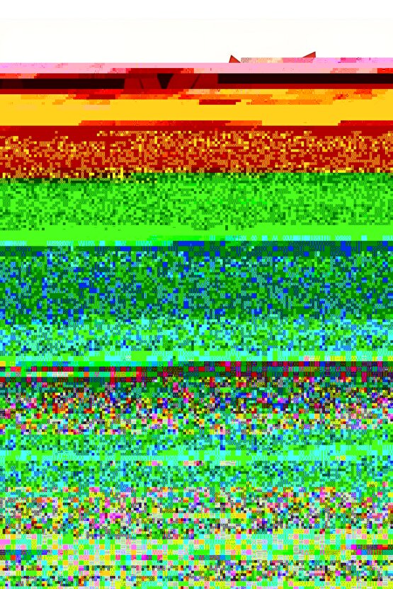 Matisse - Sanat - Soyut - Doğa - Ev - Yaşam ( 2 Li Çerçevesiz ) Poster - Afiş - Tablo NNHT669