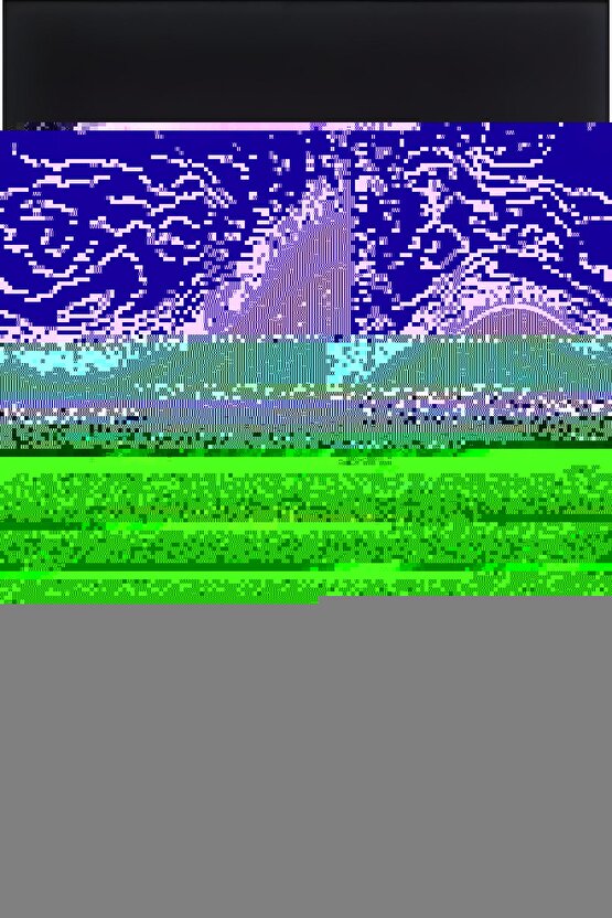 Matisse - Sanat - Soyut - Doğa - Ev - Yaşam ( 2 Li Çerçevesiz ) Poster - Afiş - Tablo NNHT561