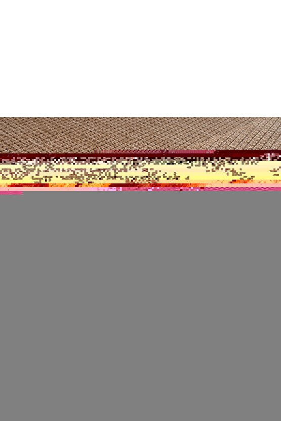 Matisse - Sanat - Soyut - Doğa - Ev - Yaşam ( 2 Li Çerçevesiz ) Poster - Afiş - Tablo NNHT561