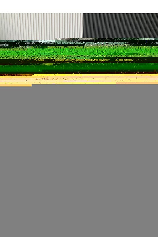 Matisse - Sanat - Soyut - Doğa - Ev - Yaşam ( 2 Li Çerçevesiz ) Poster - Afiş - Tablo NNHT851