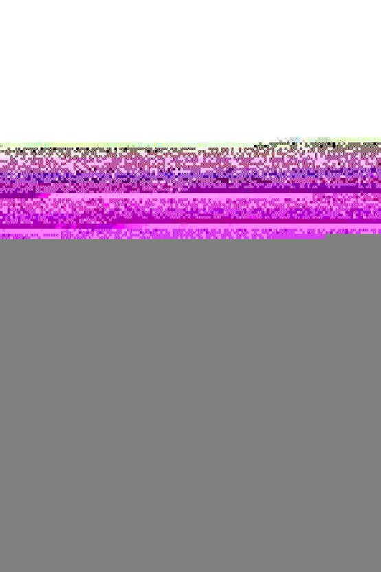 Matisse - Sanat - Soyut - Doğa - Ev - Yaşam ( 2 Li Çerçevesiz ) Poster - Afiş - Tablo NNHT647