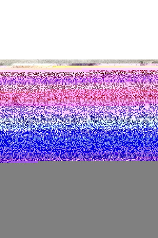 Matisse - Sanat - Soyut - Doğa - Ev - Yaşam ( 2 Li Çerçevesiz ) Poster - Afiş - Tablo NNHT307