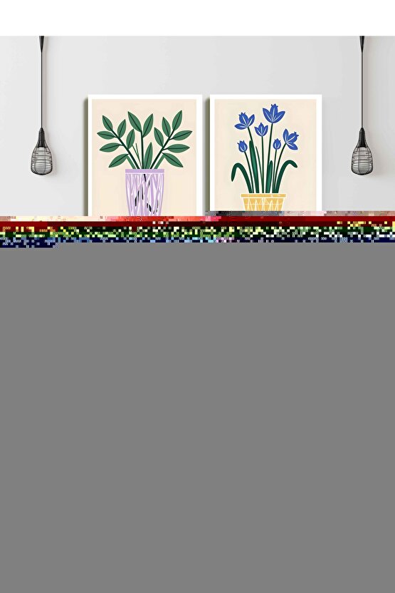 Erguvan Esansı 5 Ml 12 Adet