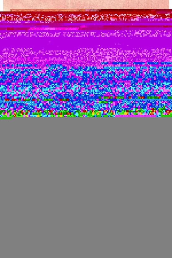 Matisse - Sanat - Soyut - Doğa - Ev - Yaşam ( 2 Li Çerçevesiz ) Poster - Afiş - Tablo NNHT578