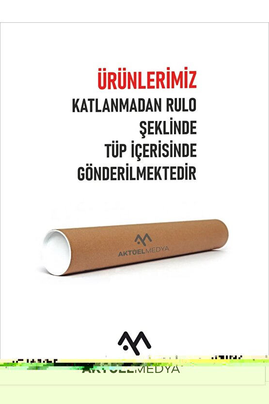 Matisse - Sanat - Soyut - Doğa - Ev - Yaşam ( 2 Li Çerçevesiz ) Poster - Afiş - Tablo NNHT846