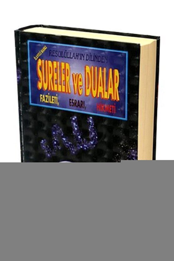 Matisse - Sanat - Soyut - Doğa - Ev - Yaşam ( 2 Li Çerçevesiz ) Poster - Afiş - Tablo NNHT340