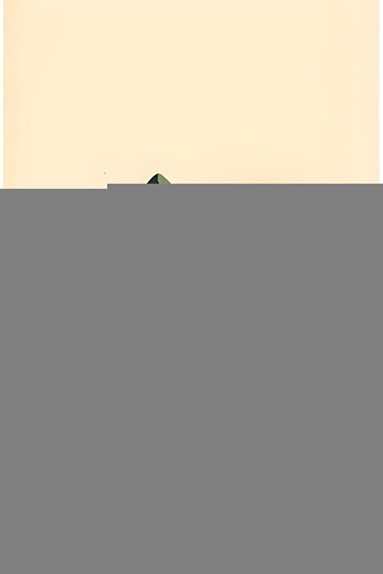 Kuranı Kerim Bilgisayar Hatlı Renkli Kelime Meali Yeşil Renk Cami Boy -