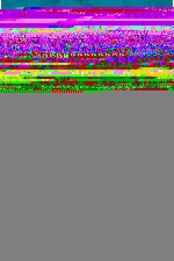 Matisse - Sanat - Soyut - Doğa - Ev - Yaşam ( 2 Li Çerçevesiz ) Poster - Afiş - Tablo NNHT225