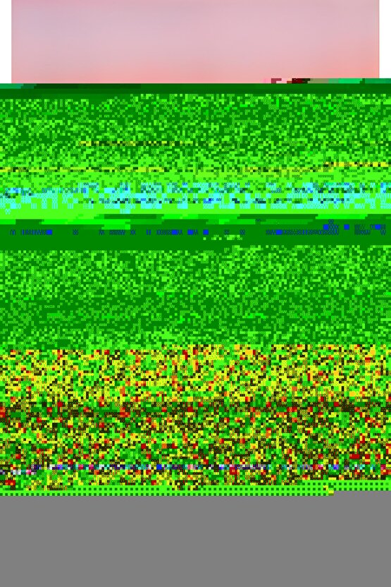 Imam-ı Gazali Kitaplığı 31li Set