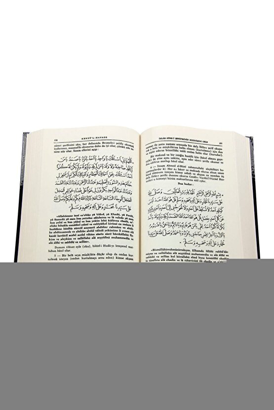 Matisse - Sanat - Soyut - Doğa - Ev - Yaşam ( 2 Li Çerçevesiz ) Poster - Afiş - Tablo NNHT141