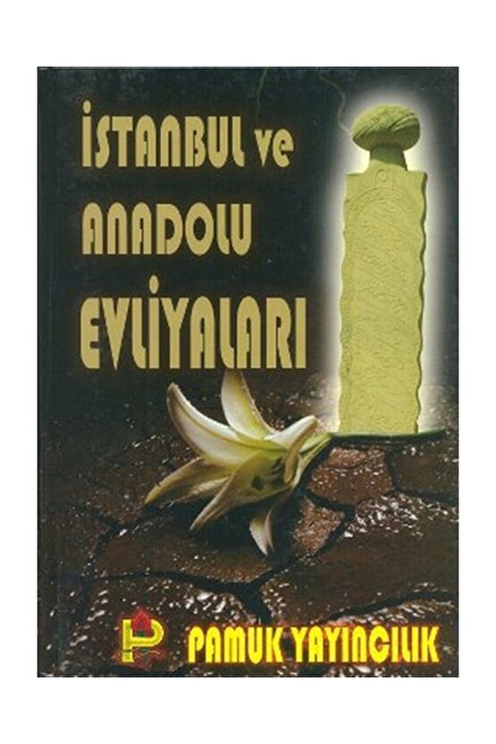 Istanbul Ve Anadolu Evliyaları (evliya-002)  Rahmi Şen   9789756594131