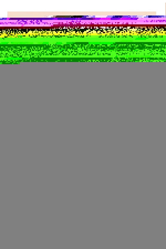 Kalın (unisex) Bel Korsesi