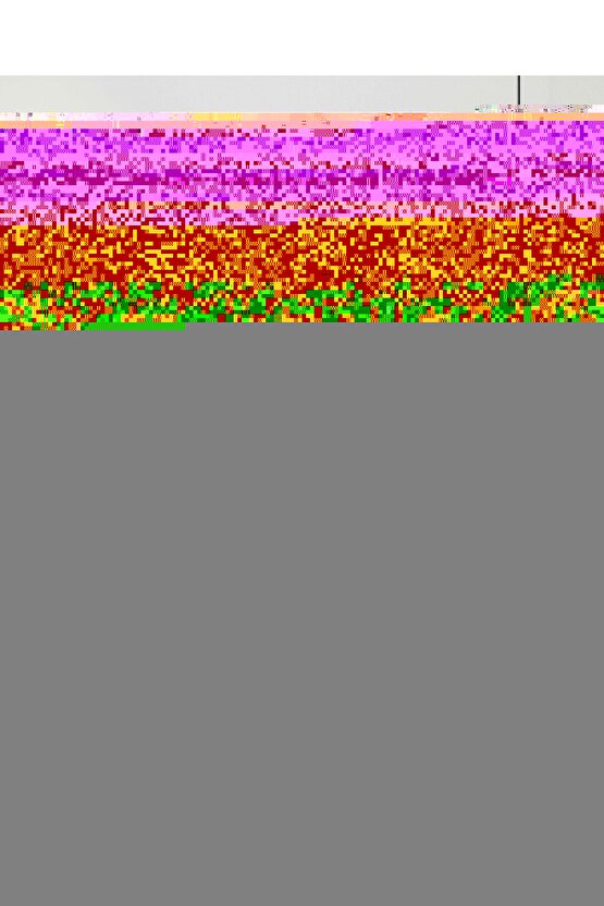 JİBER 111 ERKEK SIFIR YAKA YARIM KOL FANİLA ATLET 12 ADET