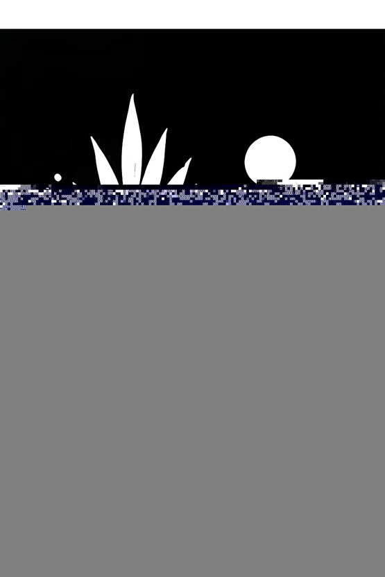 JİBER 161 ERKEK TERMAL İÇLİK ALT TEKLİ