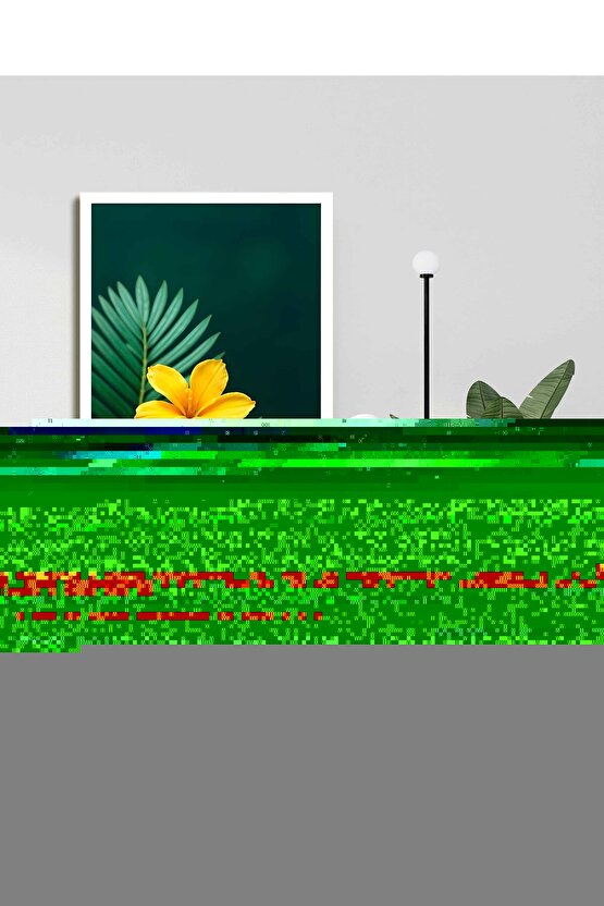 Kadın Modal Pamuklu Ip Askılı Atlet 12 Adet Jiber 603