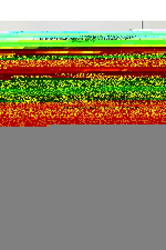 Kadın Modal Pamuklu Ip Askılı Atlet 12 Adet Jiber 603