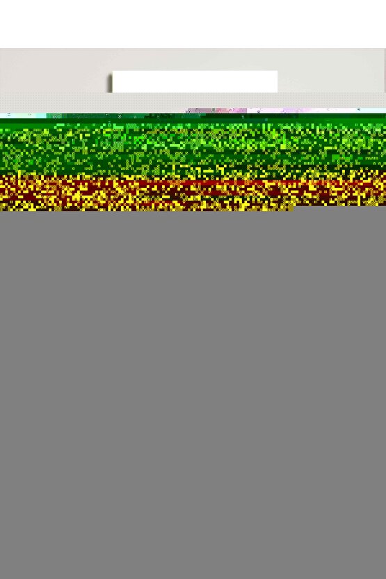 582 Geniş Askılı Çıtçıtlı Body 10 Adet