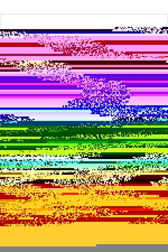 Epikondilit Bandajı Tx 160