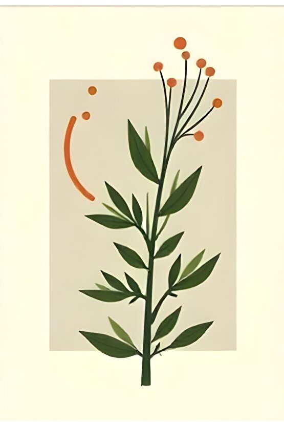 STD Termal Mest Çorabı Klasik