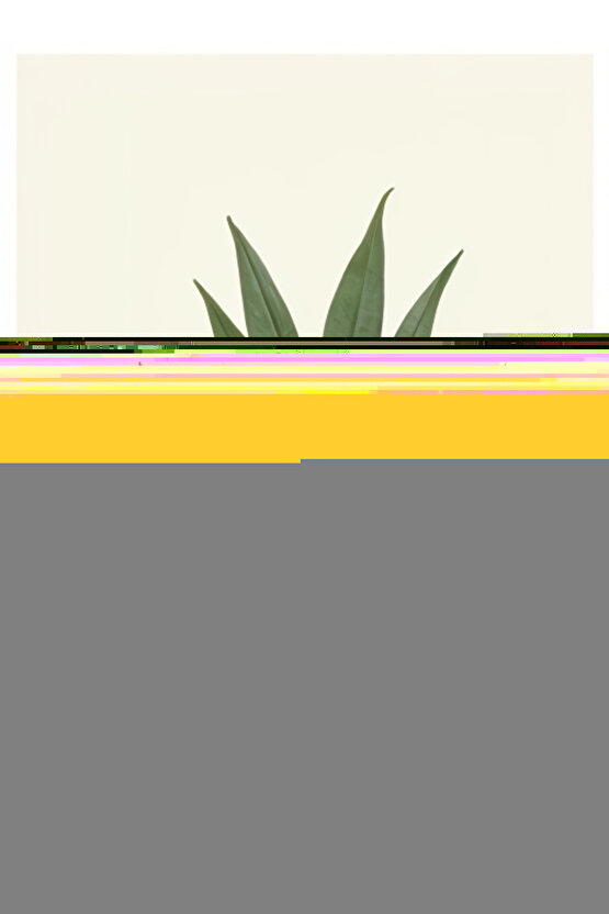 Relax Krem Renk Terapi Sandalyesi