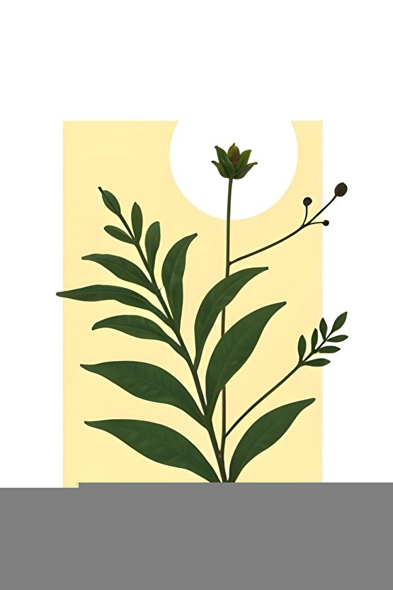 Manikür Ve Pedikür Seti - 10 UçluMp 62 Profiline