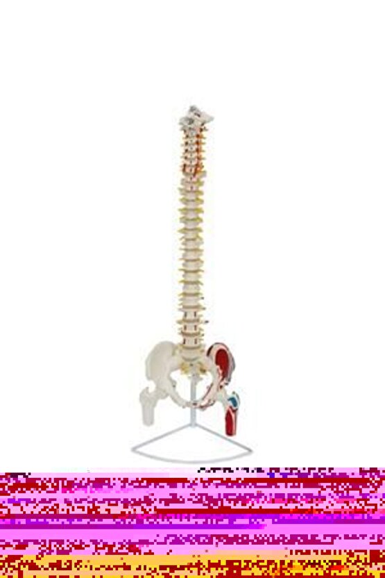 Matisse - Sanat - Soyut - Doğa - Yaşam ( Tekli Çerçevesiz ) Poster - Afiş - Tablo MKKM1163