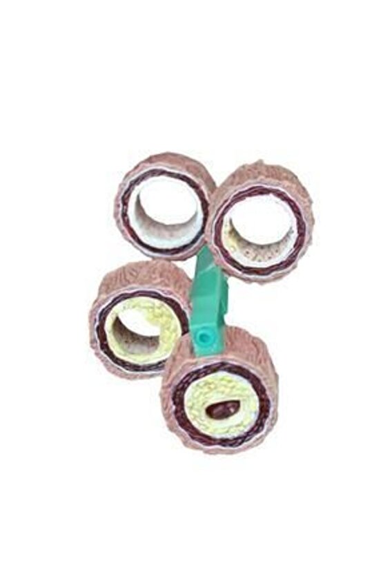 Damar Maketi Model 45