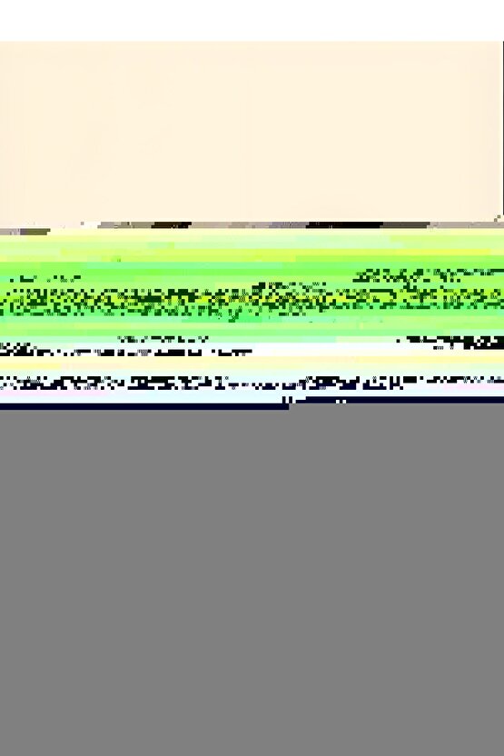 TemizleyiciLr 210 Hava