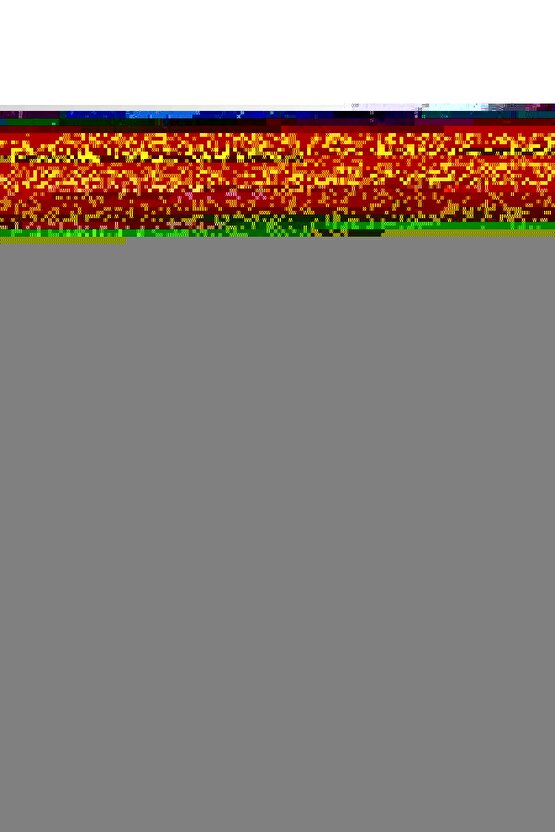 Dilimli Hot Pack 4 Dilimli