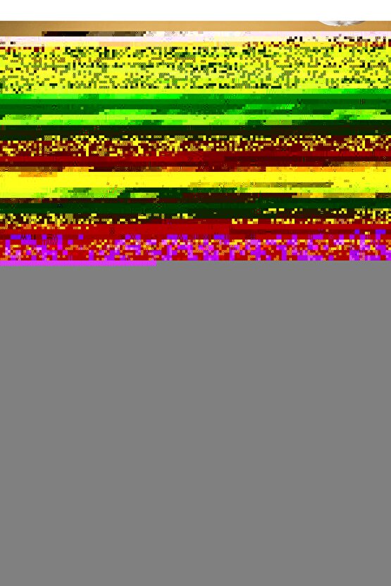 Yeni Nesil Taşınabilir Mesh Nebulizatör