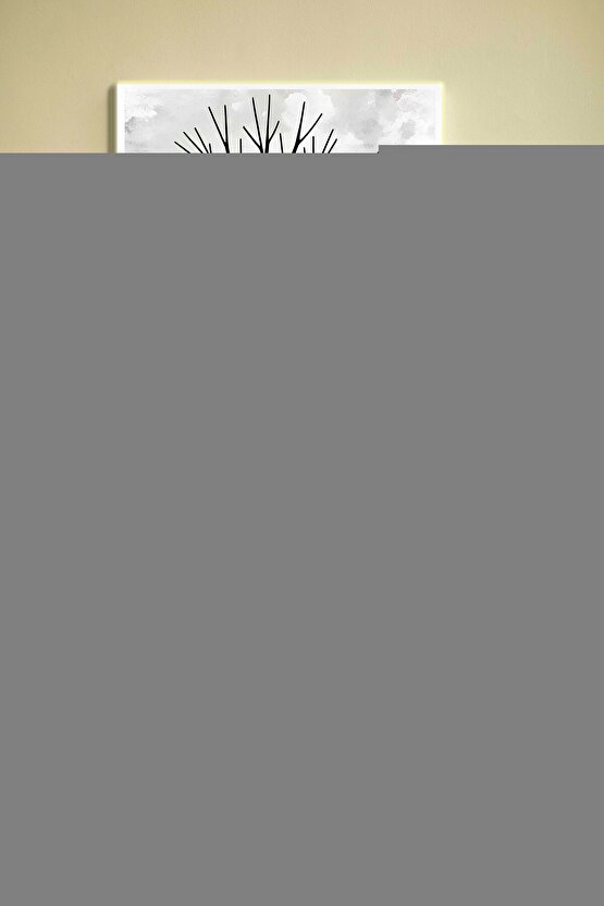 Temizliği,masaj Fırçası, Çıkarılır SaplıFc 55 Vücut