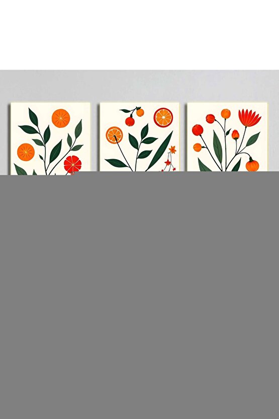 Vzn Otoskop ve Oftalmoskop Set