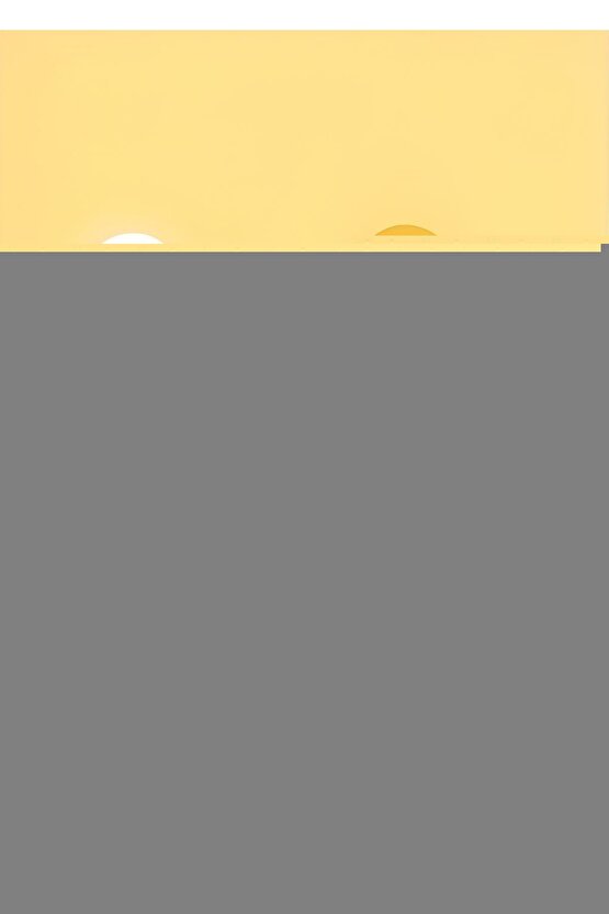 Rw2510 Walker Yürüteç