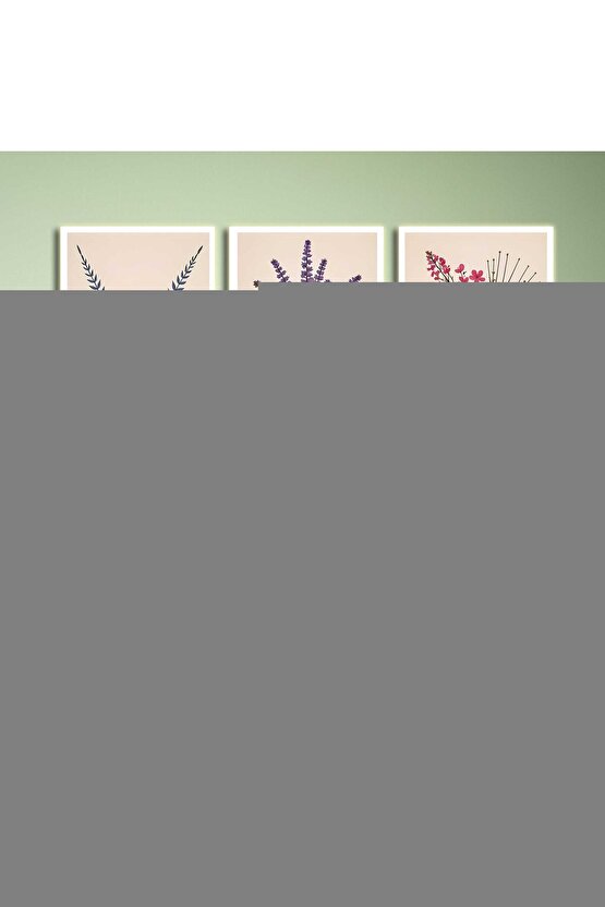 Kademeli Alüminyum Walker Ky962l