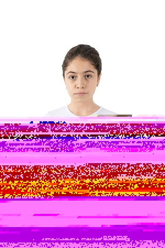 Matisse - Boho - Art Deco - Soyut - Doğa ( 3 lü Çerçevesiz ) Poster - Afiş - Tablo KR2C00764