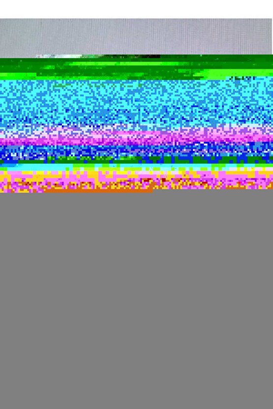 Matisse - Boho - Art Deco - Soyut - Doğa ( 3 lü Çerçevesiz ) Poster - Afiş - Tablo KR2C00773