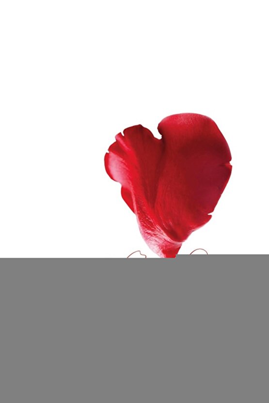 Katlanabilir Komot Seyyar Hasta Tuvaleti Klozet Yükseltici Taşınabilir Wc Tuvalet