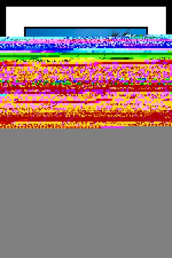 Synecdoche, New York (2008) 003 AFİŞ - POSTER