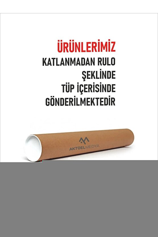 Bataklıkta Açan Gül Digital Art ( ÇERÇEVESİZ - ÇERÇEVE YOKTUR ) ( ULTRA HD ) FOLYO AFİŞ - POSTER