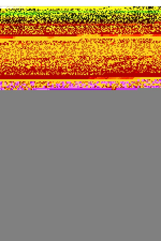 İki Papağan Digital Art ( ÇERÇEVESİZ - ÇERÇEVE YOKTUR ) ( ULTRA HD ) FOLYO AFİŞ - POSTER