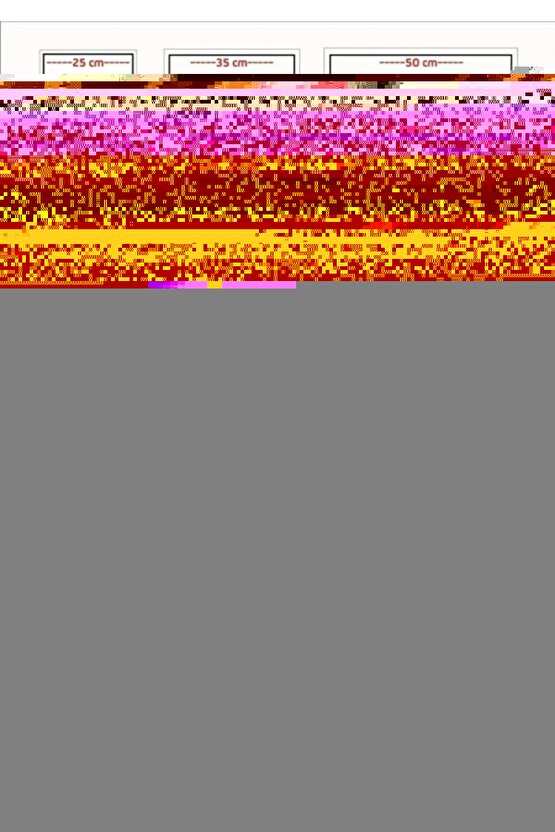 Toy Story 4 (2019) 2 AFİŞ - POSTER ( FOLYO ) - AFİŞ - POSTER-8322