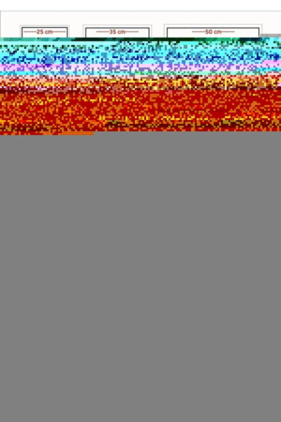 The Penguin Lessons (2024) 0002 AFİŞ - POSTER ( FOLYO ) - AFİŞ - POSTER-7730