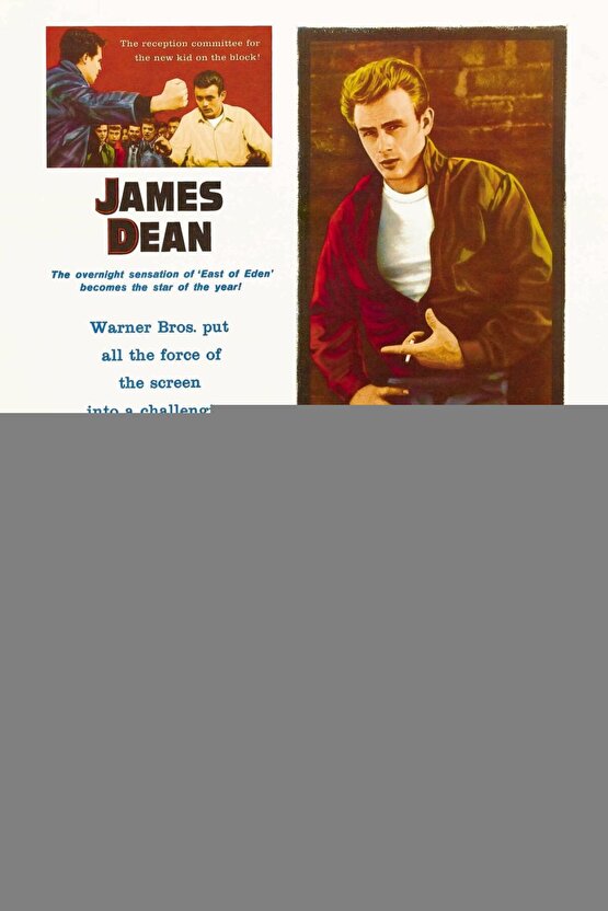 The Chronicles of Narnia (2005) 0001 AFİŞ - POSTER ( FOLYO ) - AFİŞ - POSTER-6689