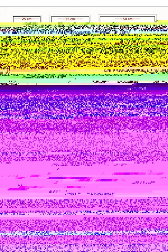 Pokemon the First Movie (1999) ( FOLYO ) - AFİŞ - POSTER-5139